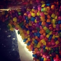 Mini chicles de colores 